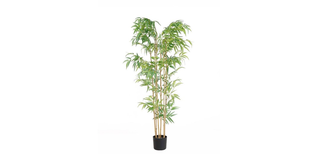 BAMBOO  NP5801_150_22_UV   ΥΨΟΣ 150cm NewPlan