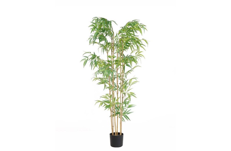 BAMBOO  NP5801_150_22_UV   ΥΨΟΣ 150cm NewPlan