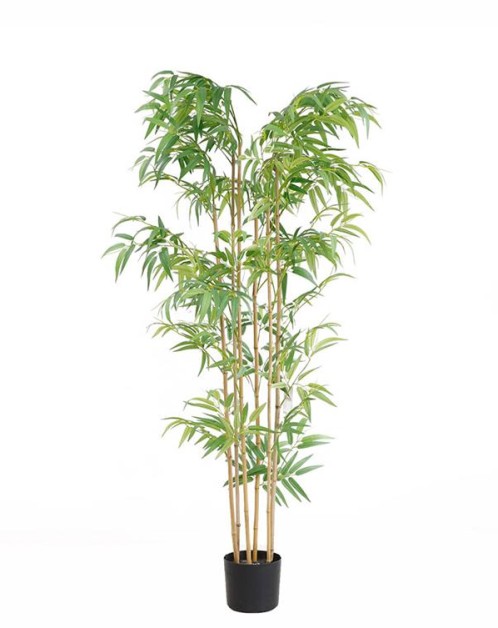 BAMBOO  NP5801_150_22_UV   ΥΨΟΣ 150cm NewPlan