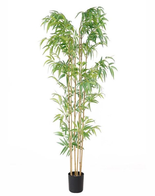 BAMBOO  NP5801_180_22_UV  ΥΨΟΣ 180cm NewPlan