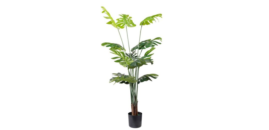 MONSTERA  NP6314_155_22   ΥΨΟΣ 155cm NewPlan