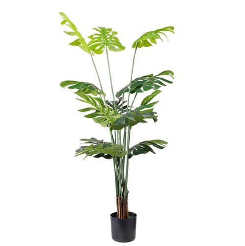 MONSTERA  NP6314_155_22   ΥΨΟΣ 155cm NewPlan