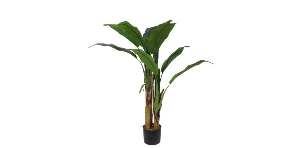 BANANA TREE NP702_145  ΥΨΟΣ 145cm NewPlan