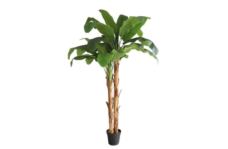 BANANA TREE NP707_240  ΥΨΟΣ 240cm NewPlan