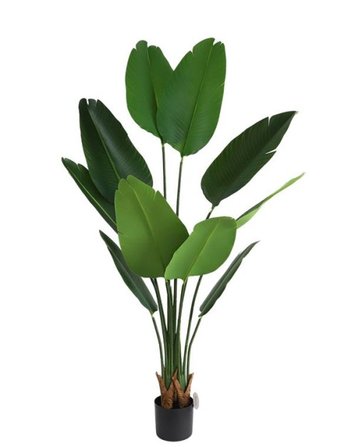 BIRD OF PARADISE  NP717_160  ΥΨΟΣ 160cm NewPlan
