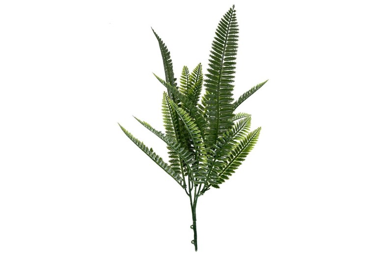 ΔΙΑΚΟΣΜΗΤΙΚΟ ΜΠΟΥΚΕΤΟ (SET 10ΤΜΧ) W027 SPLEENWORT NewPlan