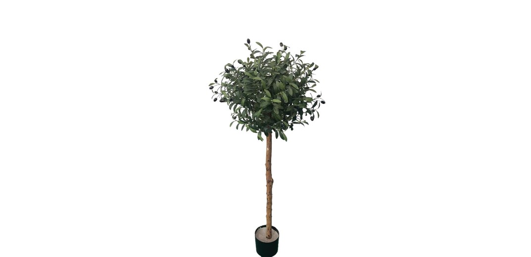 OLIVE TREE NP5807_150_22_UV ΥΨΟΣ 150cm NewPlan