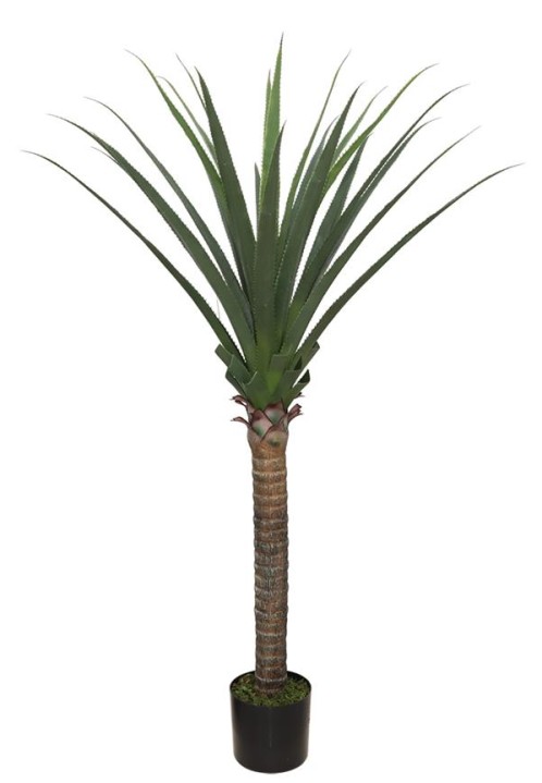 AGAVE TREE  NP802_160  ΥΨΟΣ 160cm NewPlan