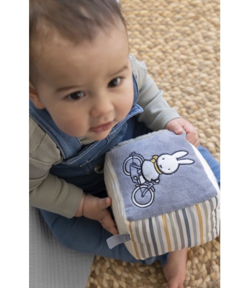 Κύβος Δραστηριοτήτων Ραφ Miffy Fluffy