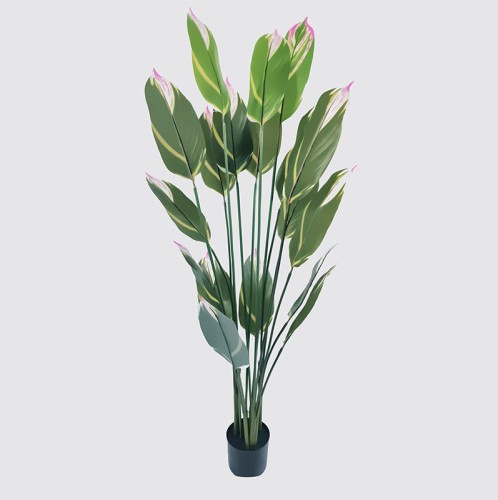 Διακοσμητικό φυτό σε γλάστρα Lucky Inart πράσινο Φ80x180εκ