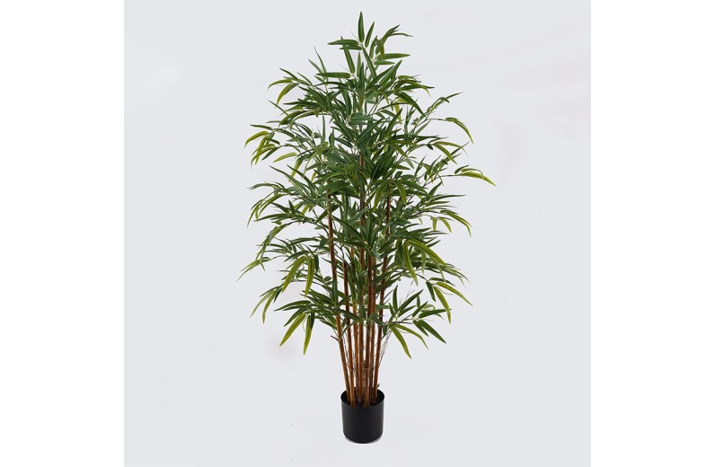 Διακοσμητικό φυτό σε γλάστρα Rhapis Palm Inart πράσινο Φ80x180εκ