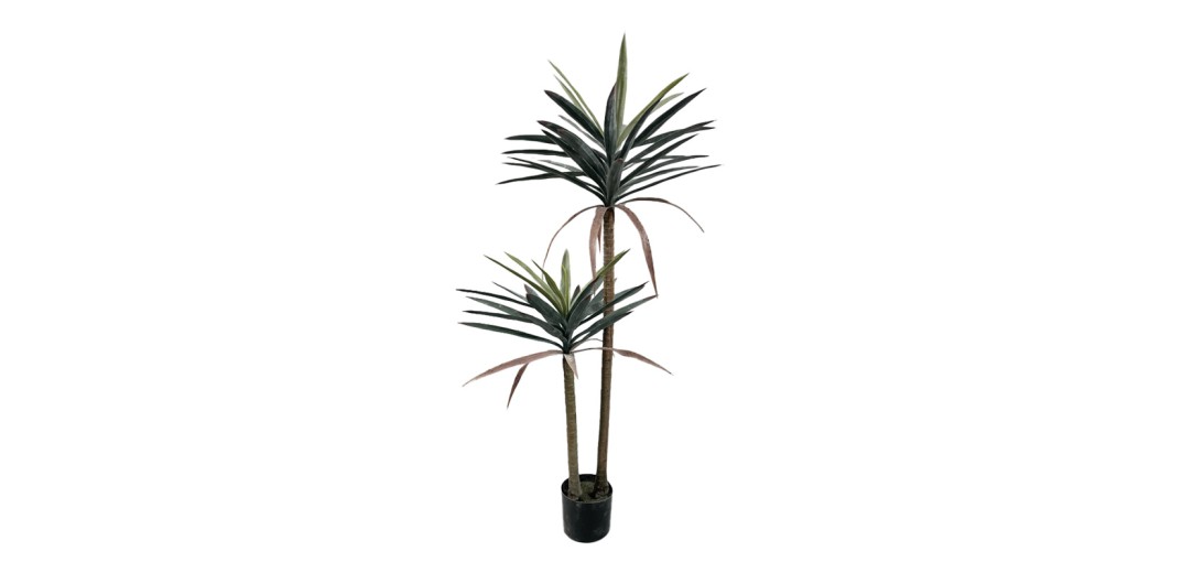Διακοσμητικό φυτό Dracaena palm σε γλάστρα Inart πράσινο pp Υ125εκ