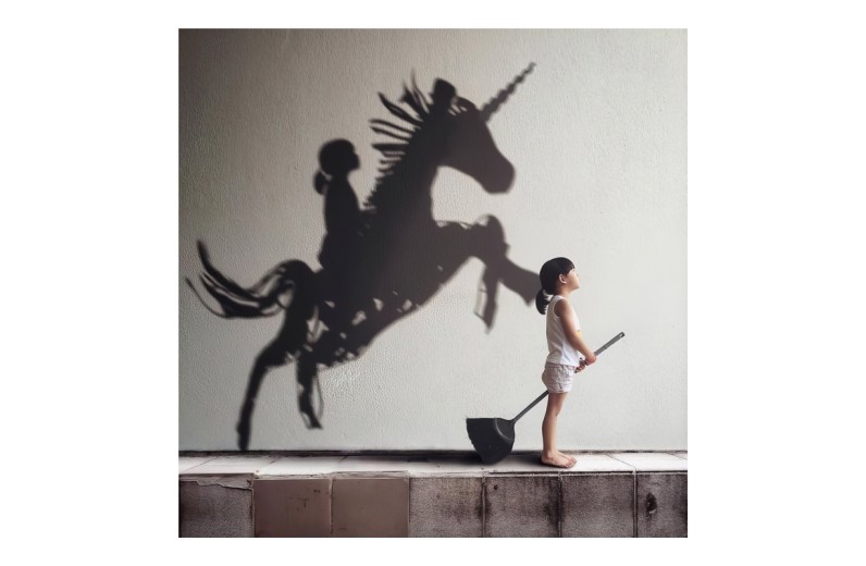 Πίνακας σε καμβά Horseon pakoworld ψηφιακής εκτύπωσης 50x1.8x50εκ