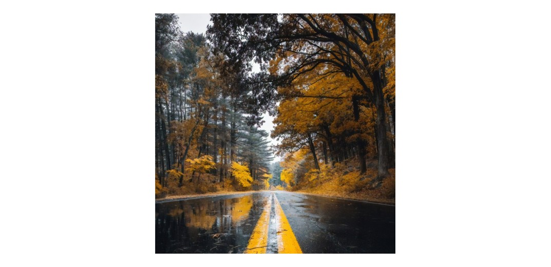 Πίνακας σε καμβά Savgone pakoworld ψηφιακής εκτύπωσης 50x1.8x50εκ