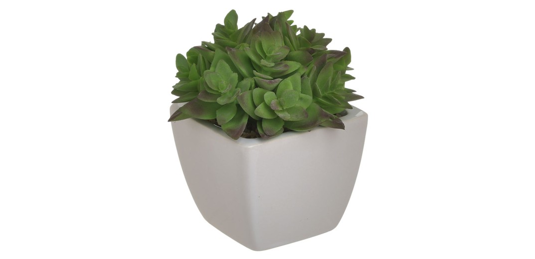 INART ΦΥΤΟ ΣΕ ΓΛΑΣΤΡΑ ΛΕΥΚΟ/ΠΡΑΣΙΝΟ 8Χ8Χ11 - 8cm x 11cm x 8cm