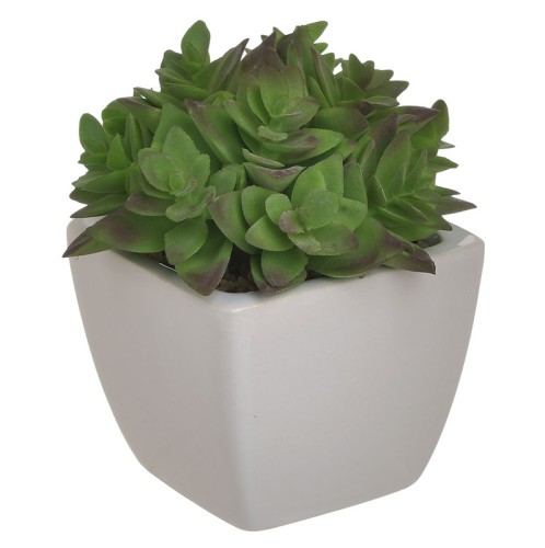 INART ΦΥΤΟ ΣΕ ΓΛΑΣΤΡΑ ΛΕΥΚΟ/ΠΡΑΣΙΝΟ 8Χ8Χ11 - 8cm x 11cm x 8cm